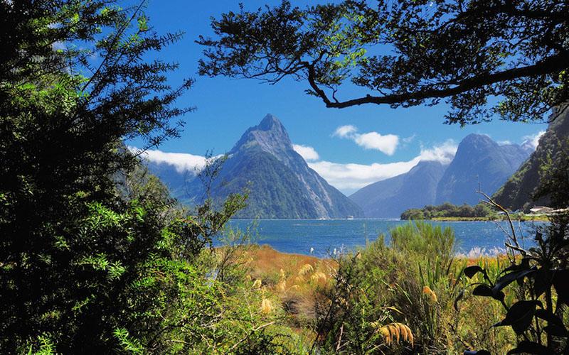 新西蘭移民還是創業好呢？